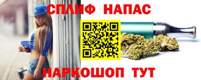 Альфа ПВП Славгород
